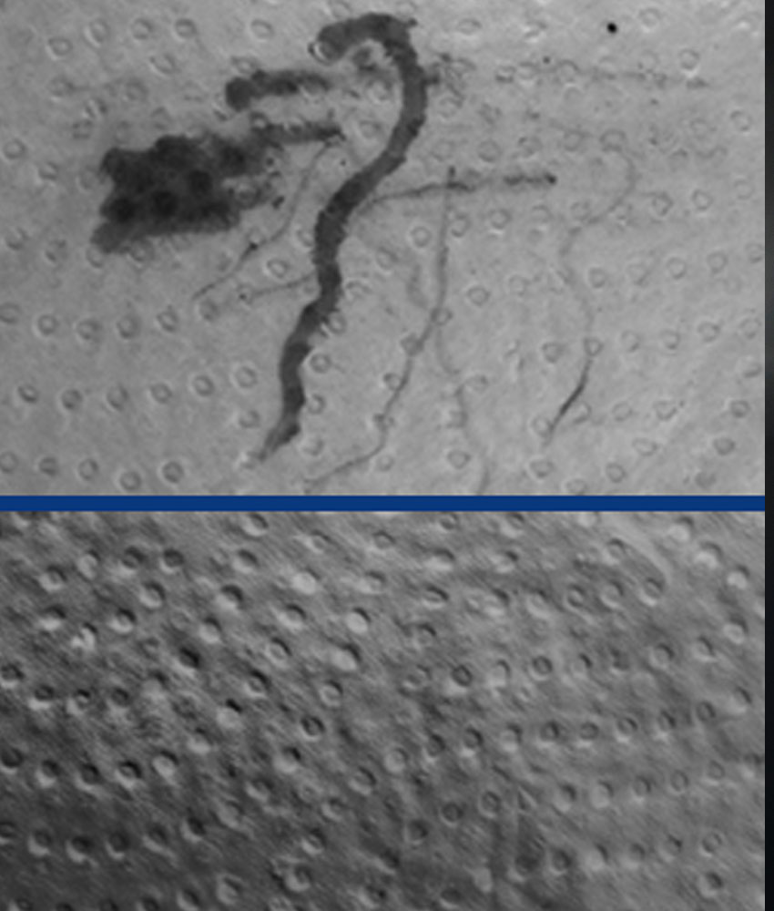 qmtrelief- Acquisition d'images à haute vitesse avec relief augmenté